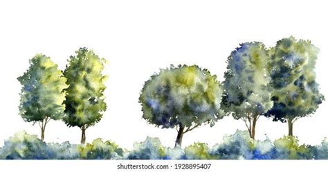 Watercolor Drawing Summer Landscape Trees Silhouettes Stock Illustration 1928895407 | Shutterstock