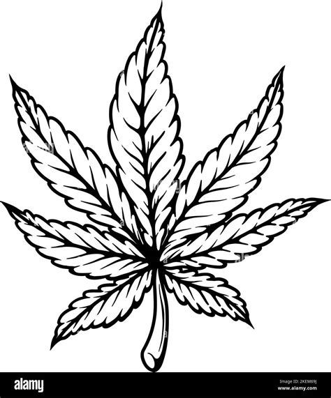 Illustration Of Cannabis Leaf Design Element For Poster T Shirt Sign Vector Illustration