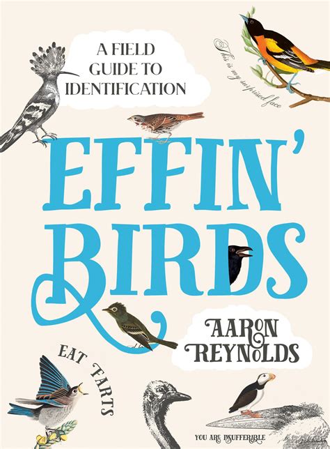 Effin Birds A Field Guide To Identification