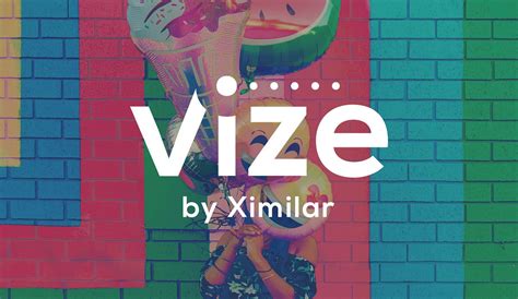 vizeai major update  features  vita valka vize custom