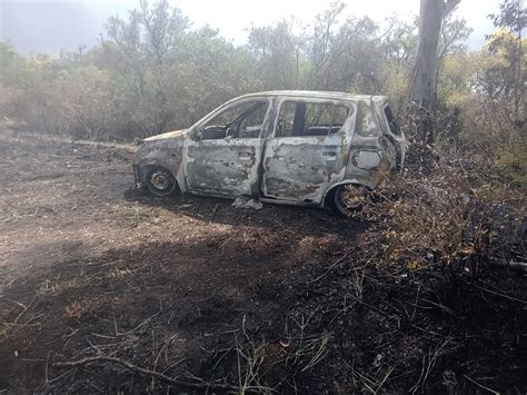 Un padre y su hija murieron tras despistar y chocar contra un árbol