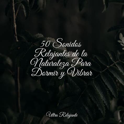 50 Sonidos Relajantes de la Naturaleza Para Dormir y Vibrar Música