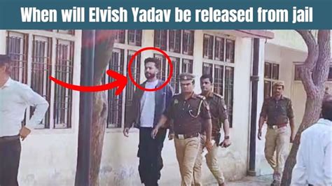 Elvish Yadav News What Happened When Will He Be Released From Jail