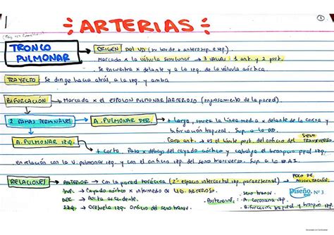 Anatomia De Sistema Endocrino Sgr Jesi Castro Udocz The Best Porn Website