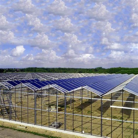 Ground Solar Mounting System For Agriculture Plant Farm Solar