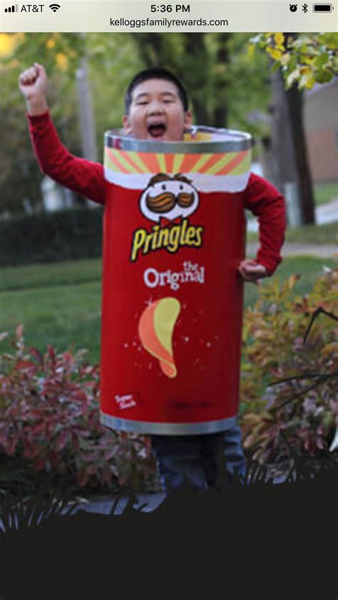 Pringles Can Halloween Costume Food Halloween Costumes Halloween