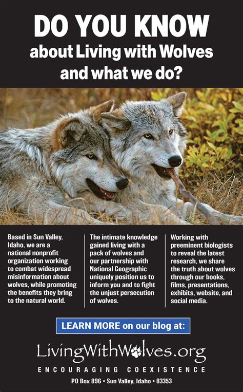 Do You Know About Living With Wolves And What We Do Living With Wolves