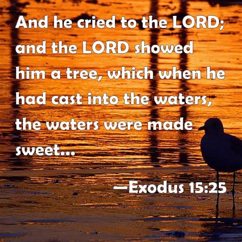 Exodus 15:25 And he cried to the LORD; and the LORD showed him a tree ...