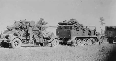 Sdkfz Halftrack Towing Flak World War Photos