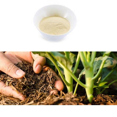 Fish Paste Plant Biostimulants Easy To Apply 100 Fish Fertilizer