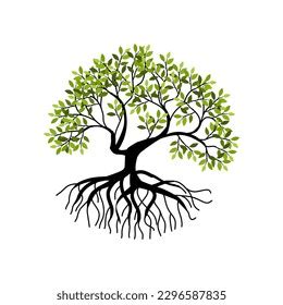 Tree Roots Vector Illustrations Mangrove Tree Stock Vector Royalty