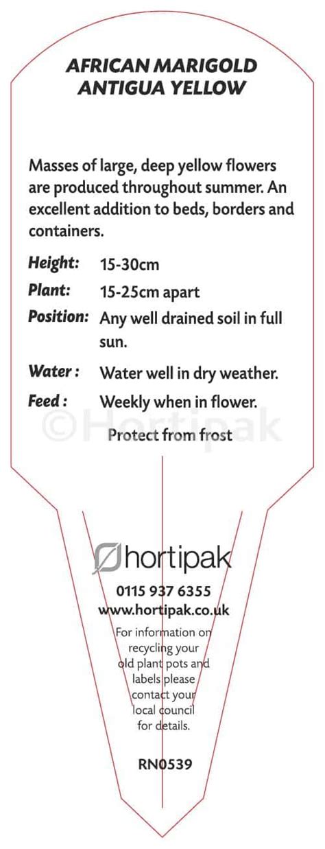Marigold Antigua Yellow Hortipak E Store