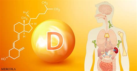 Você Conhece Os 14 Sinais De Deficiência De Vitamina D