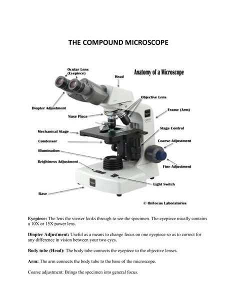 Microscope Diaphragm Function