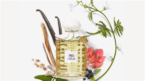 Best Amber Perfume Ever: 11 of Our Favorite Picks - Everfumed ...