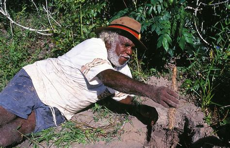 Cape York Peninsula | Aboriginal people, York peninsula, People