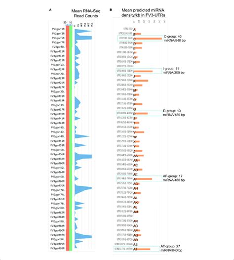 Comparison Of Transcriptomic And Enrichment Of Putative Microrna Download Scientific Diagram