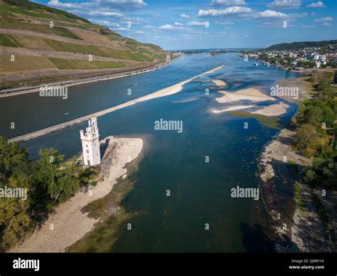 Luftaufnahme Mit Dem Rhein Und Dem Mausturm Bei Extrem Niedrigem