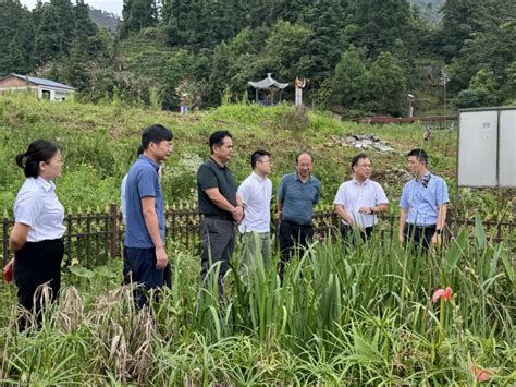 自治区生态环境厅赴金秀瑶族自治县调研指导乡村振兴和驻村帮扶工作 工作动态 广西壮族自治区生态环境厅网站