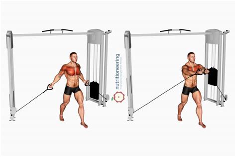 21 Cable Chest Exercises For Upper Lower And Mid Pec Workout