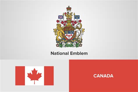 Canada National Emblem & Flag Template Graphic by shahsoft · Creative ...