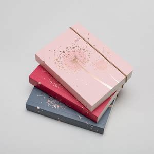 Matilda Myres Diary Rose Gold A Day A Page Diaries Jan To Dec Etsy