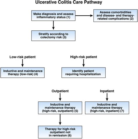 Ulcerative Colitis Care Pathway Gastroenterology