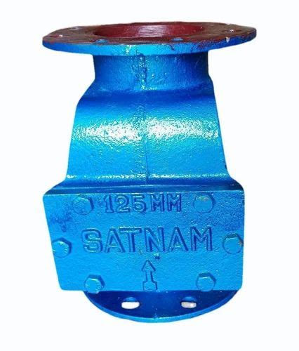 Mm Cast Iron Reflux Valve At Rs Kg Cast Iron Reflux Valves In