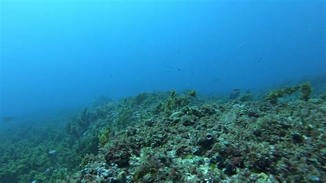 Douglas Shoal Sediment Sampling Panorama Video C Gh