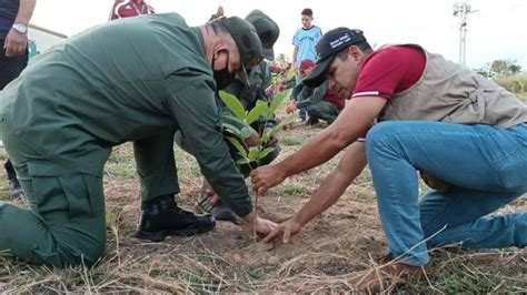 Fanb Se Incorpora A Campaña De Reforestación De Parques Nacionales