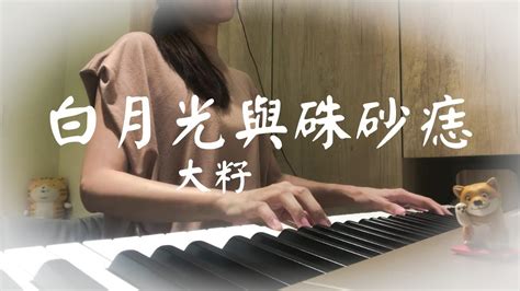 抖音熱門歌曲｜大籽 白月光與硃砂痣 White Moonlight And Cinnabar Venus 鋼琴版｜piano Cover