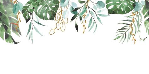 Palm Leaf Border Vector Art, Icons, and Graphics for Free Download