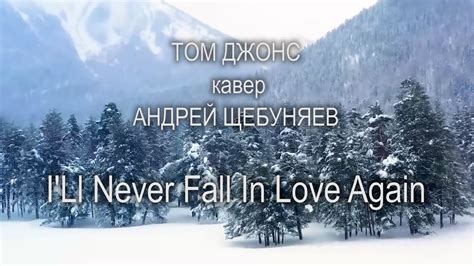 Том Джонс Кавер Андрей Щебуняев I Ll Never Fall In Love Again Tom Jones