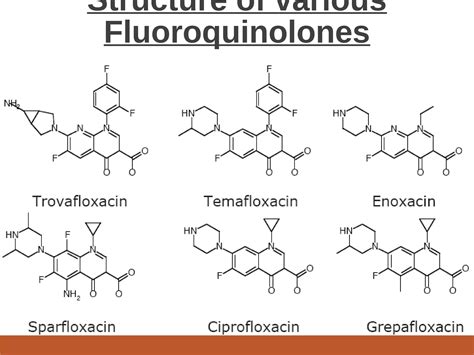 Fluoroquinolones PPT