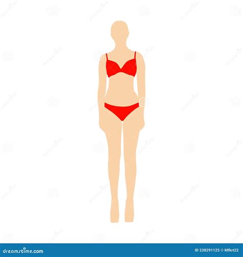 Linda Garota Modelo Lingerie Posando Ilustração do Vetor Ilustração de nanômetro burro