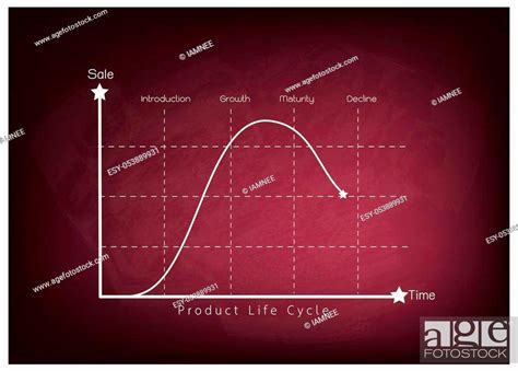 Business And Marketing Concepts Stage Of Product Life Cycle Chart On