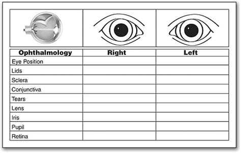 Exam And Clinical Labels Smartpractice Veterinary