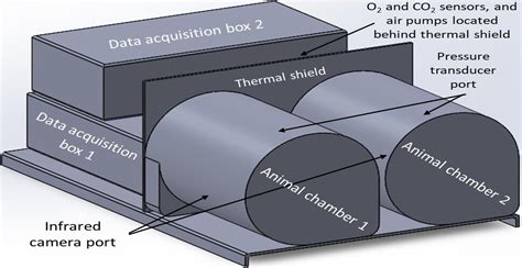 A Revolutionary Approach to Interplanetary Space Travel: Studying Torpor in Animals for Space ...