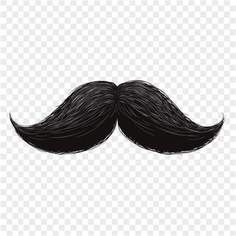 Hd Realistic Black Moustache Png Citypng