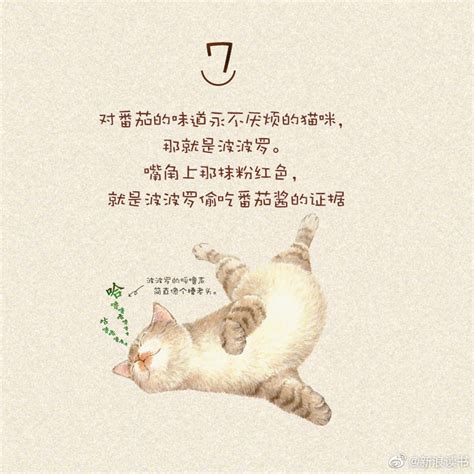 超治愈的猫咪绘本！铲屎官必备吸猫攻略！让书中的喵咪们