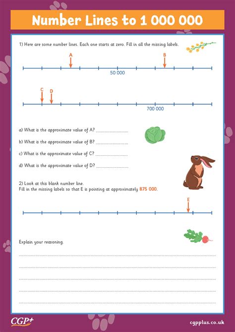 Number Lines To Year Cgp Plus