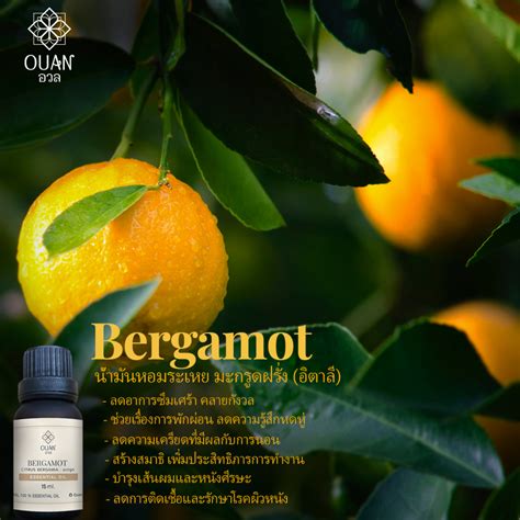 Pure Essential Oil น้ำมันหอมระเหย 100 มะกรูด Bergamot 15 Ml พร้อม