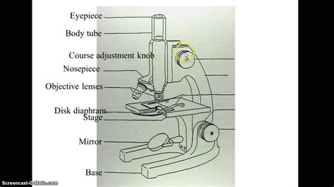 Microscope Drawing Easy at GetDrawings | Free download