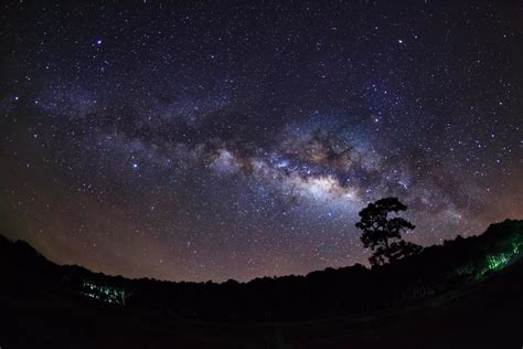 Galaxie De La Voie Lact E Et Silhouette D Arbre Avec Nuage Photographie