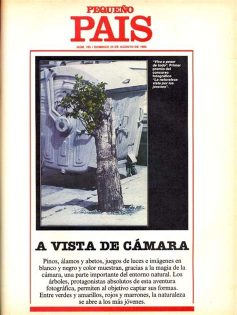 PEQUEÑO PAÍS 1981 EL PAIS 195 Ficha de número en Tebeosfera