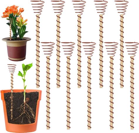 Amazon Electroculture Plant Stakes 6 Pack 17 Long