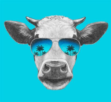 Portrait Of Cow With Mirror Sunglasses Stock Illustration Illustration Of Intelligent Retro