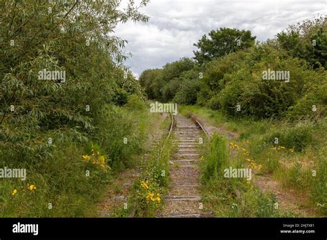 Overgrown Railway Track Hi Res Stock Photography And Images Alamy