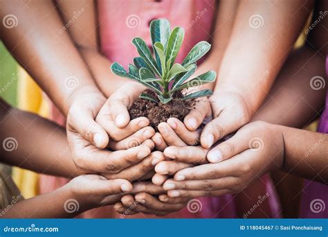 Enfants Et Parent Tenant Le Jeune Arbre Dans Des Mains Pour La