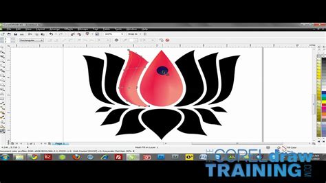 Coreldraw Training Videos Mesh Fill Tool Youtube